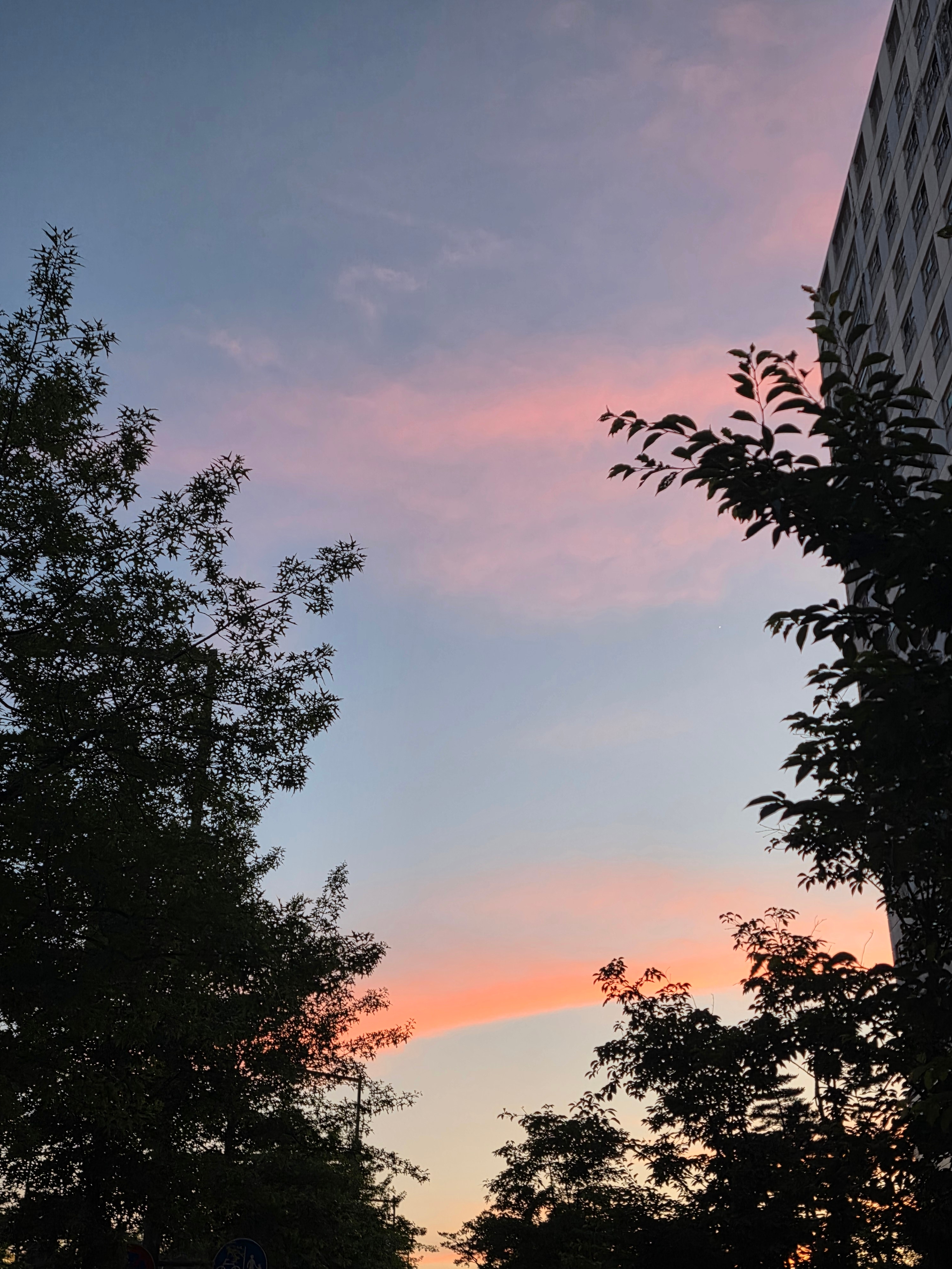 영혼이 자유로운 자