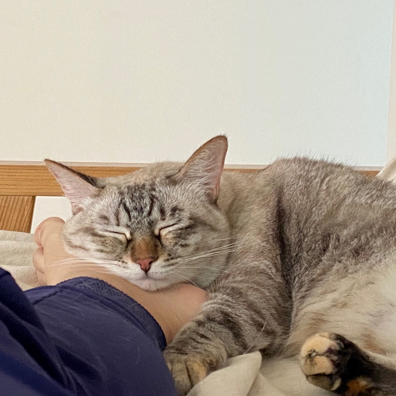 강토치
