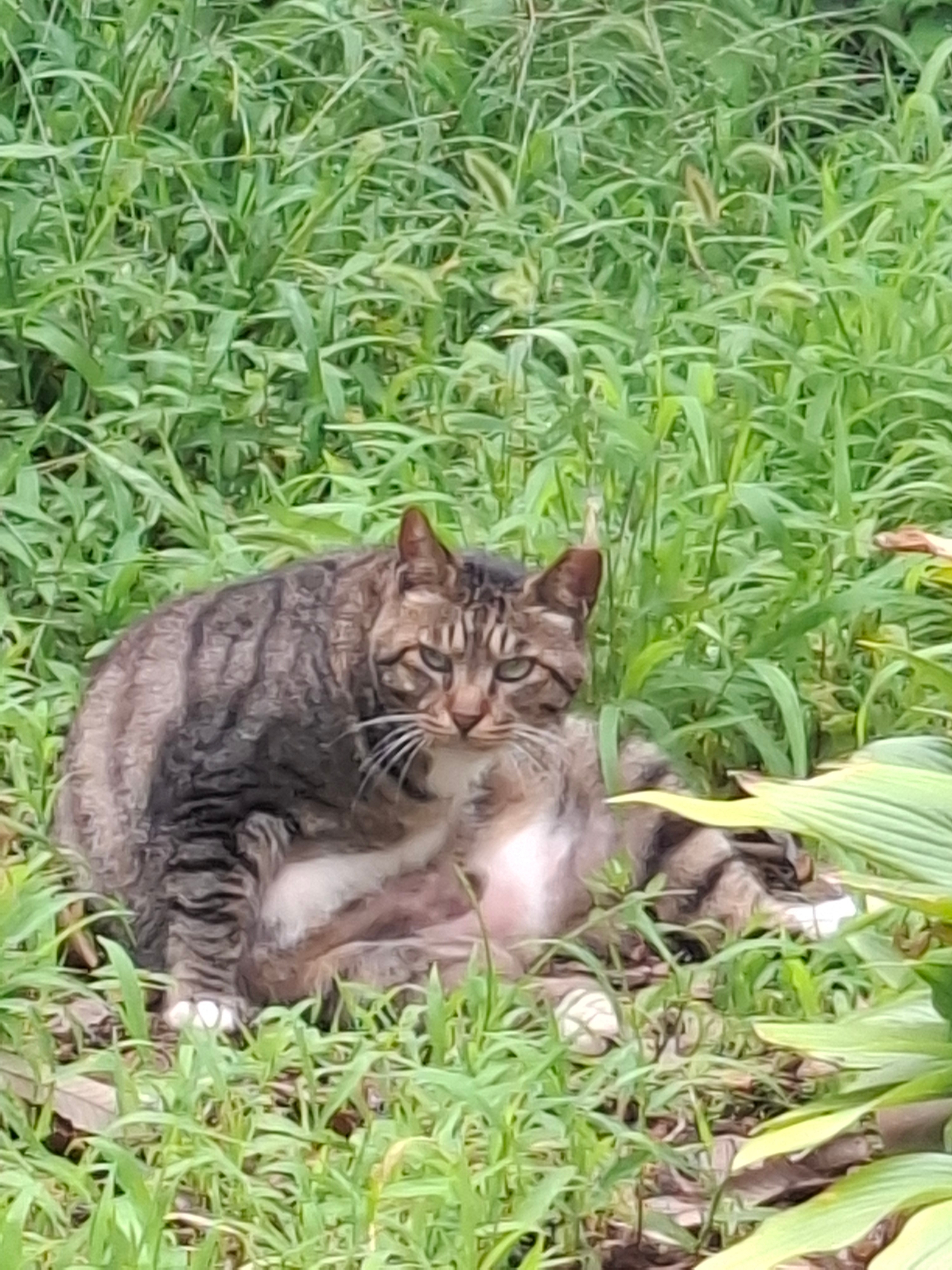 강서준