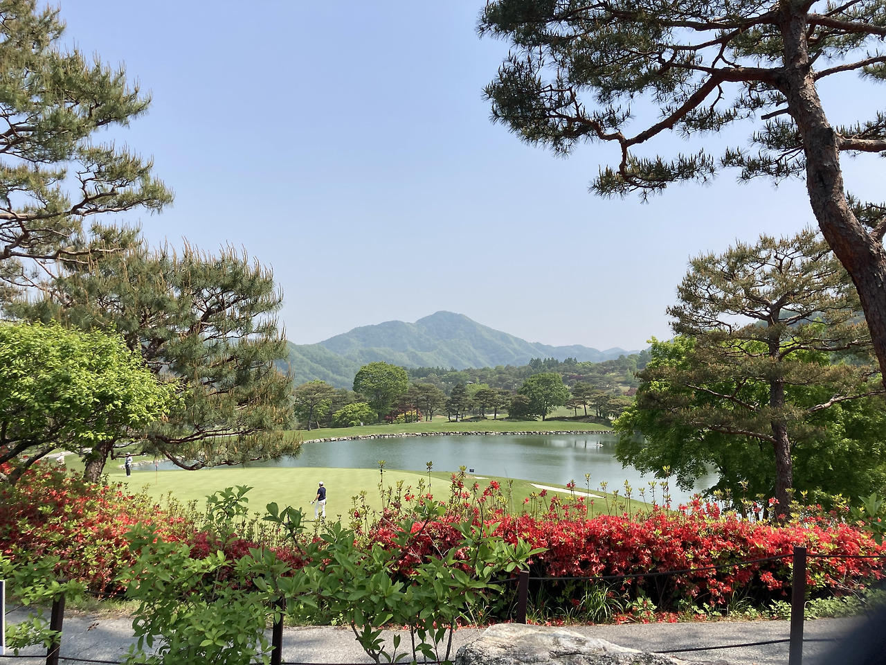 행복한 마미