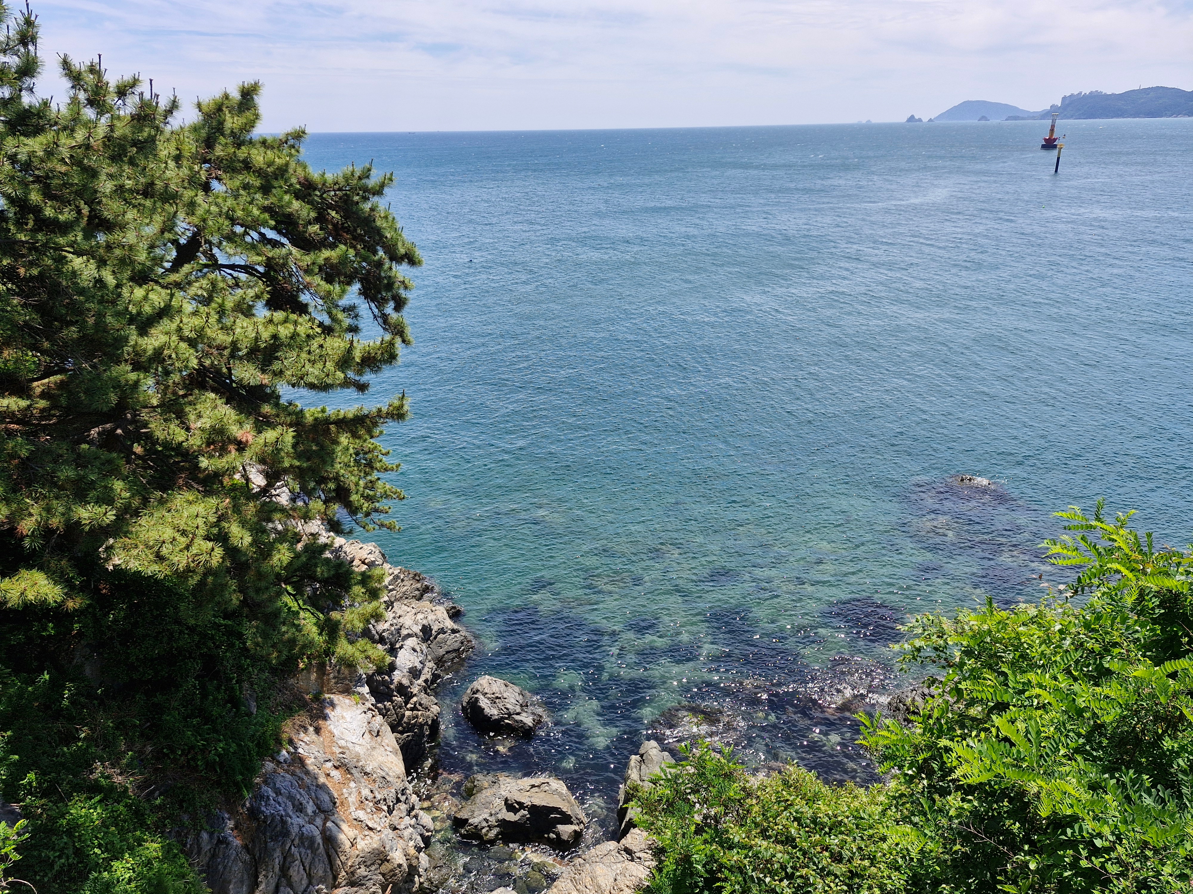 완벽히 일상