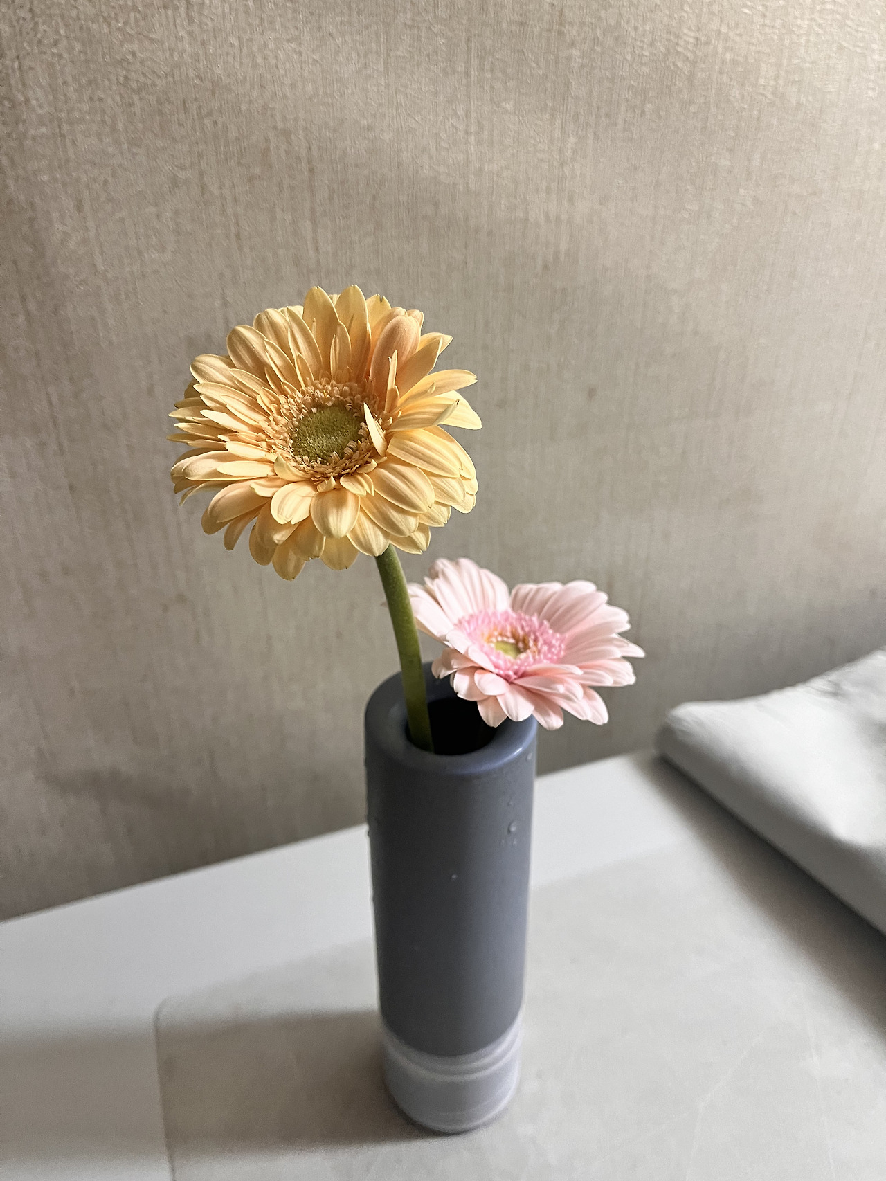 새우냠