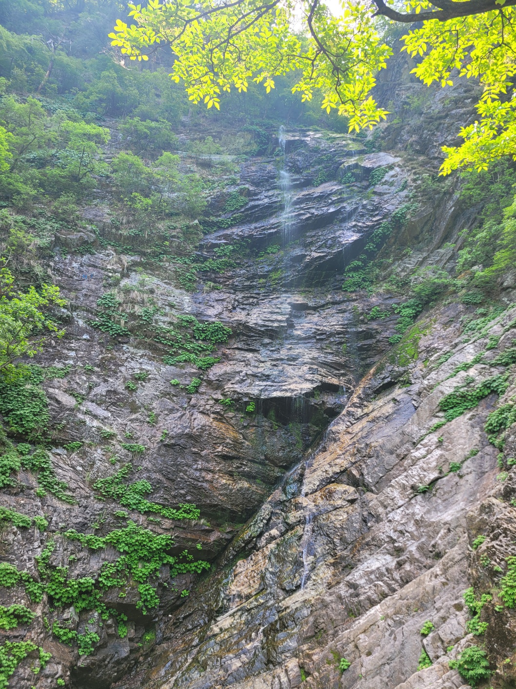 마가렛