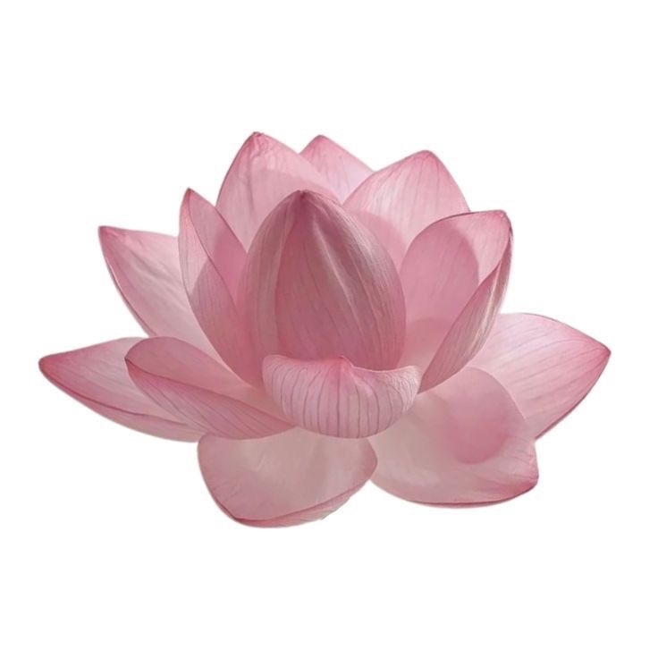 yuc