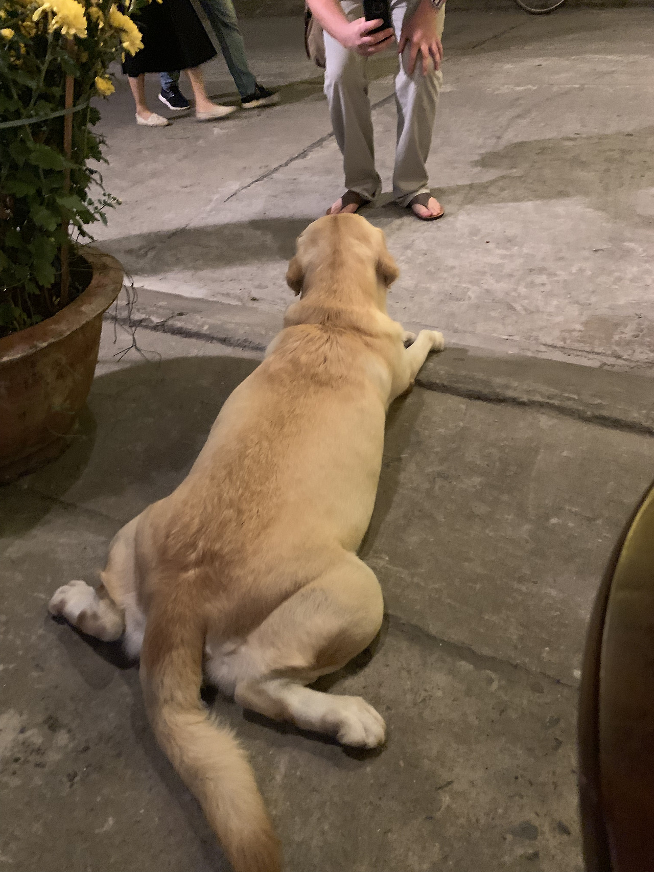 숙숙