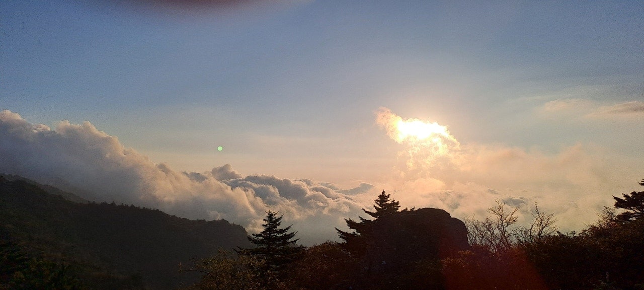 주가엘