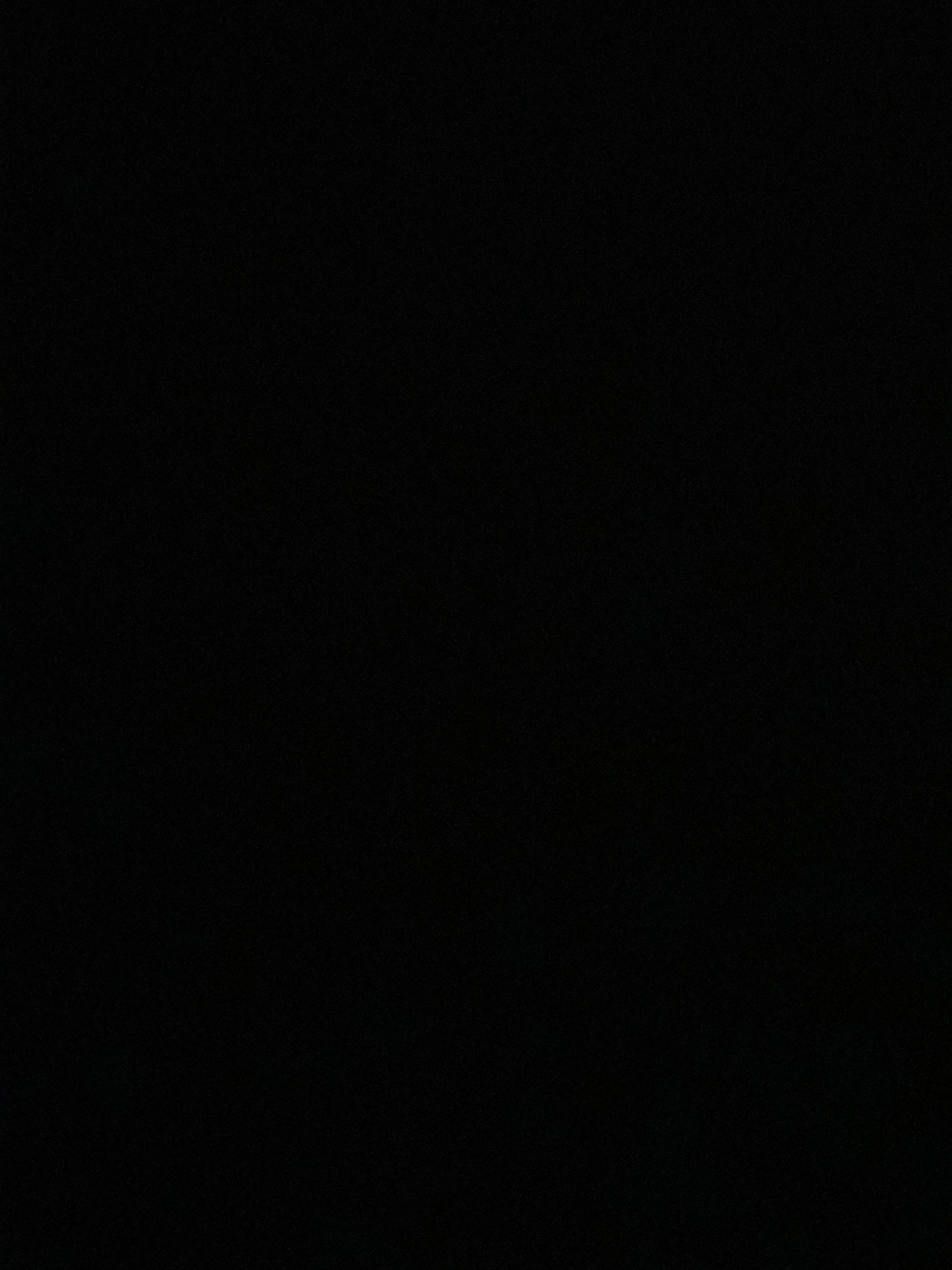 독자