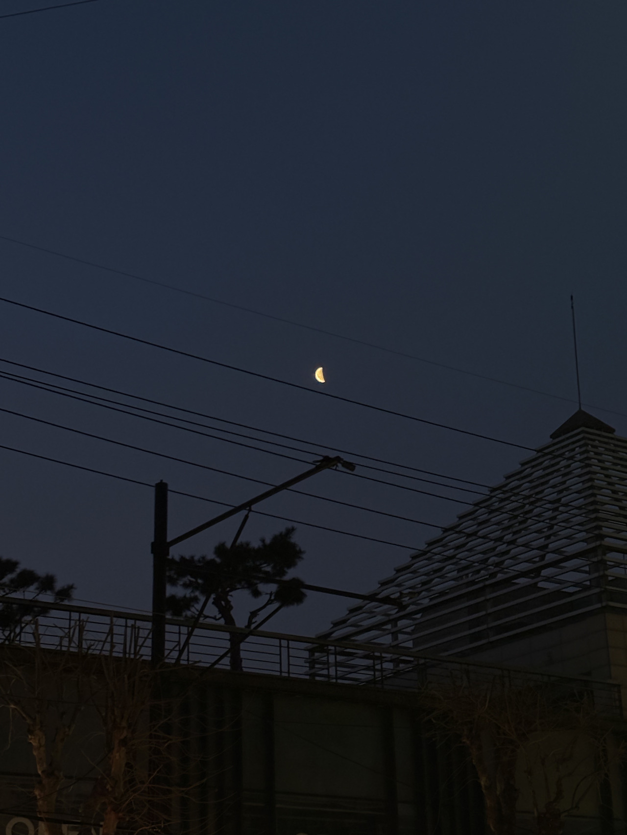 염미정