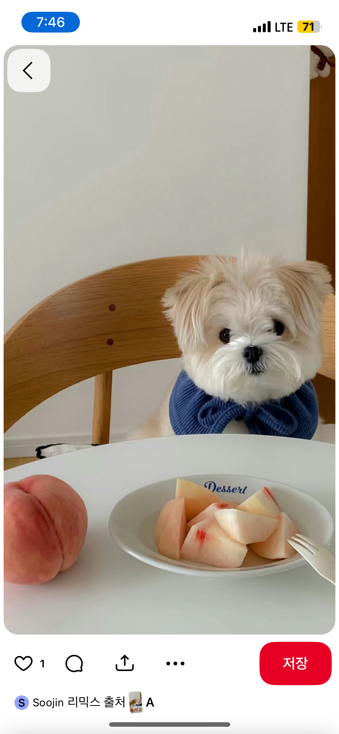 평화