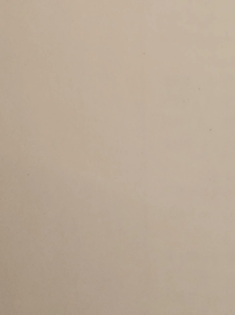 지은