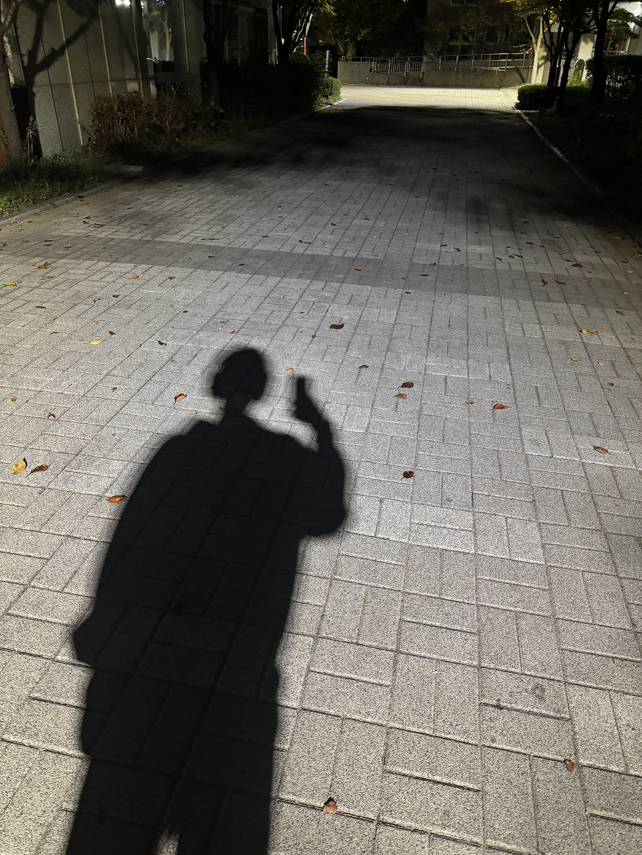 정민