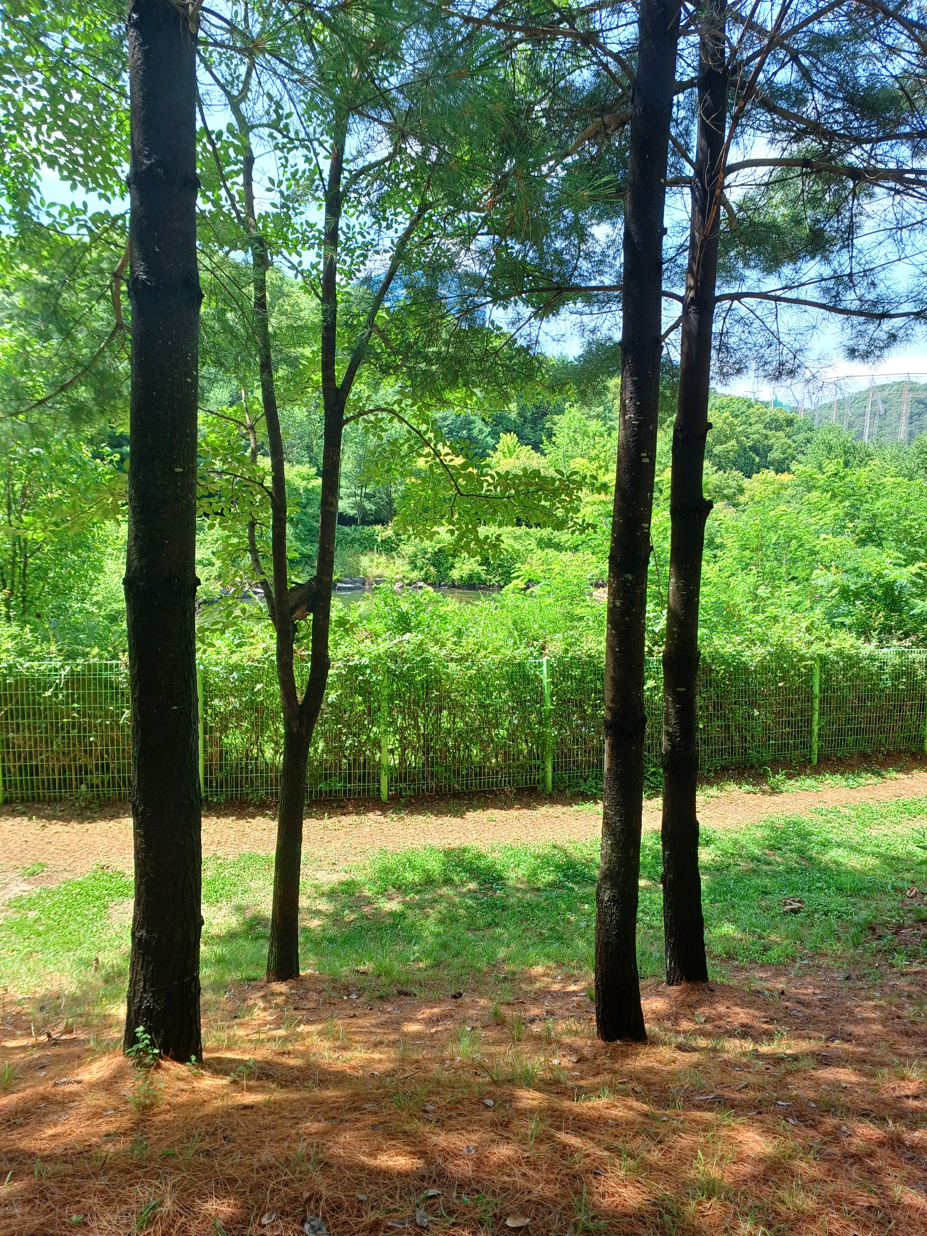 공유