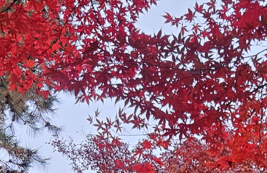 행복