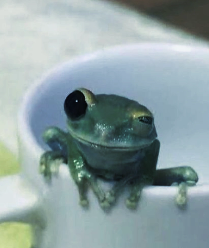 천지