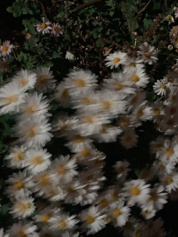 새벽