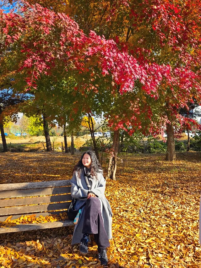 하윤