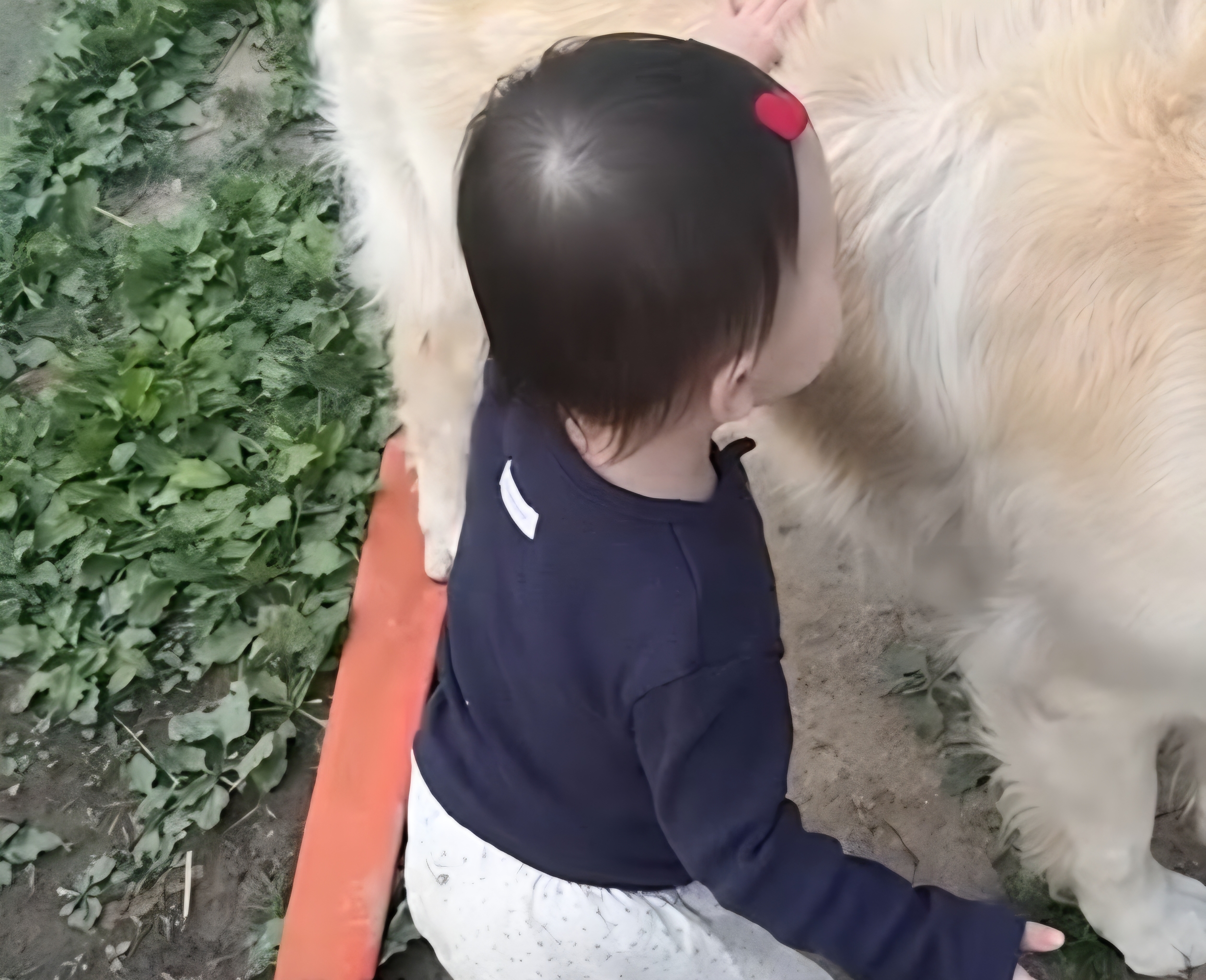 블루버드