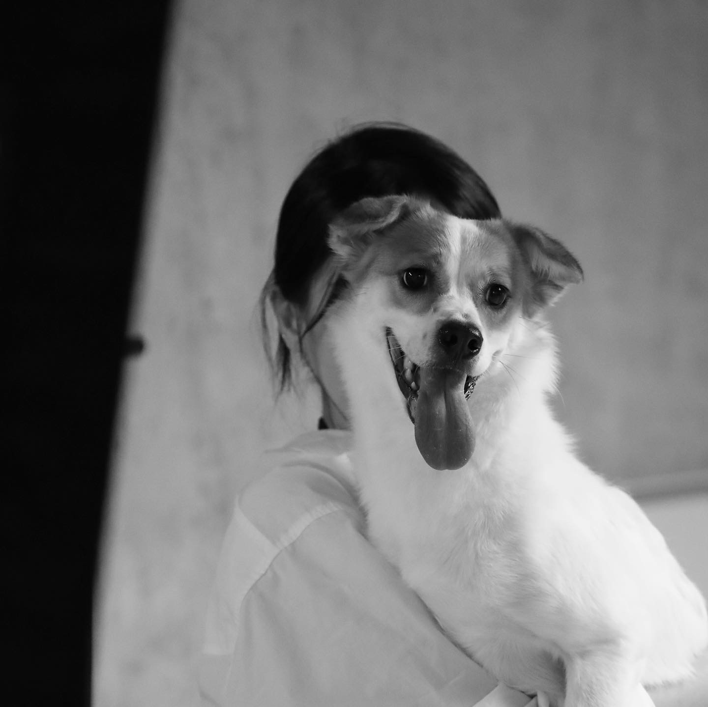 규진